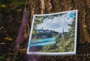 La brochure Les arbres en ville – Histoire, espèces et entretien